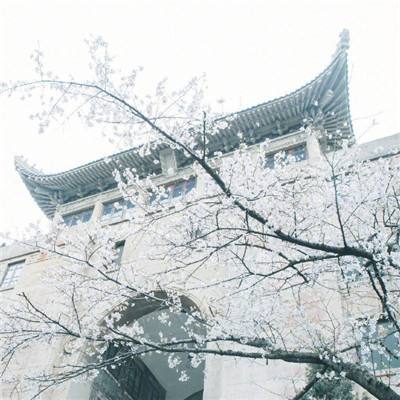 北京邮电大学举办中外合作办学20周年发展大会